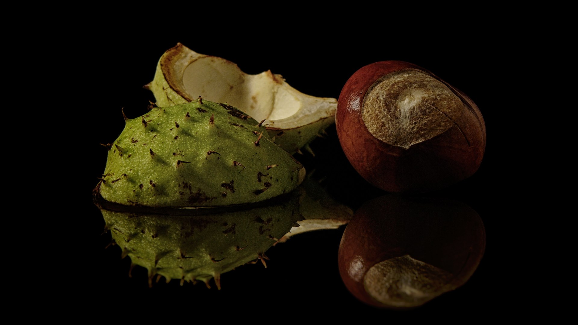 Detailn a makro fotografie